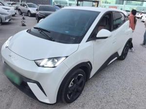 BYD Seagull 2024 Electric