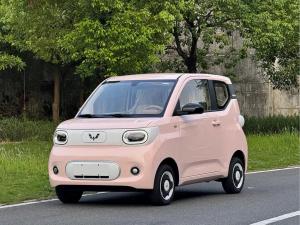 wuling hongguang mini ev 2025 Electric