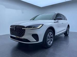 lincoln corsair 2023 Petrol