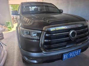 Great Wall POER 2020 Petrol