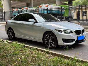 BMW 2 Series 2019 Petrol