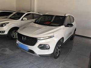 baojun 510 2020 Petrol