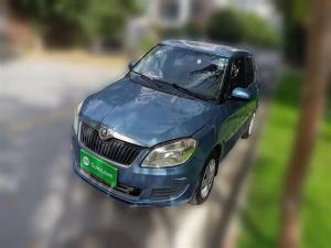 skoda fabia 2014 Petrol