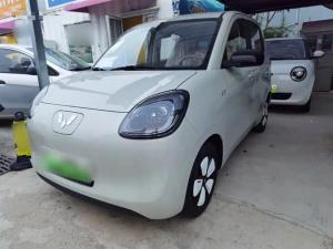 wuling hongguang mini ev 2025 Electric