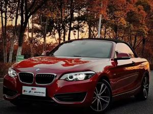 BMW 2 Series 2018 Petrol