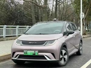 byd dolphin 2023 Electric