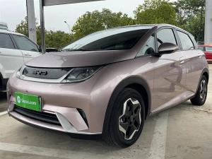 byd dolphin 2022 Electric