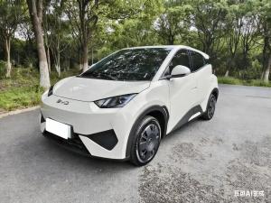byd seagull 2025 Electric