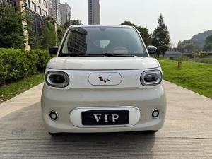 Wuling Hongguang MINI EV 2024 Electric