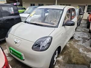 wuling hongguang mini ev 2025 Electric