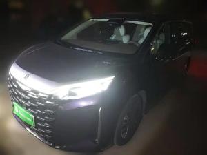 BYD XIA 2025 Plug-in hybrid