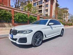 bmw 5 series 2023 Petrol