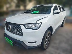 great wall poer 2022 Petrol