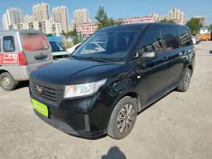 wuling hongguang plus 2023 Petrol
