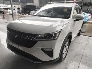 wuling xingchi 2024 Petrol