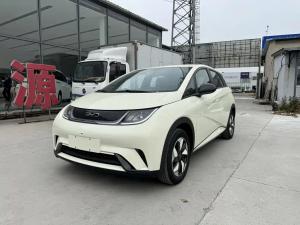 byd dolphin 2025 Electric