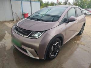 byd dolphin 2022 Electric