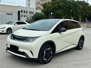 BYD Dolphin 2022 Electric