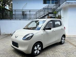 wuling hongguang mini ev 2025 Electric