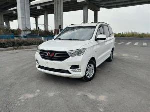Wuling Hongguang 2020 Petrol