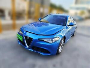 alfa romeo giulia 2019 Petrol