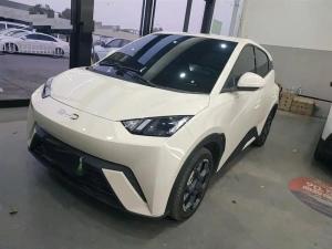 byd seagull 2024 Electric