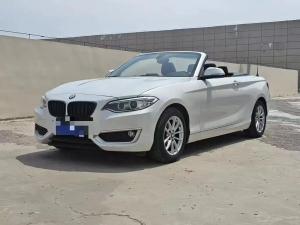 bmw 2 series 2018 Petrol
