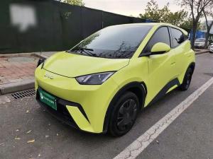byd seagull 2023 Electric