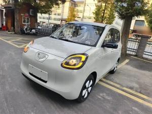 wuling hongguang mini ev 2025 Electric