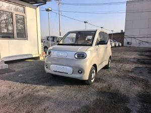 wuling hongguang mini ev 2025 Electric