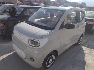 wuling hongguang mini ev 2025 Electric