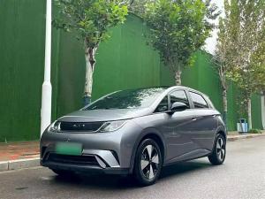 BYD Dolphin 2024 Electric