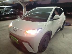 BYD Seagull 2024 Electric