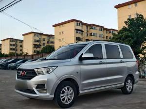 Wuling Hongguang 2022 Petrol