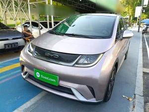 BYD Dolphin 2022 Electric