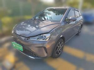 neta aya 2024 Electric