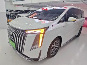 GAC Trumpchi Trumpchi M8 2024 Petrol