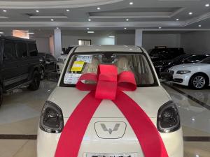 Wuling Hongguang MINI EV 2025 Electric