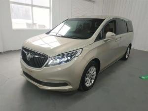 Buick GL8 2019 Petrol