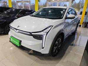 neta u 2024 Electric