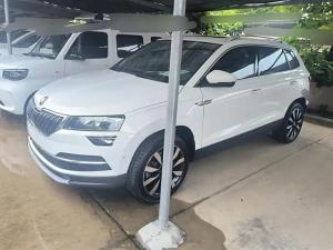 skoda karoq 2019 Petrol