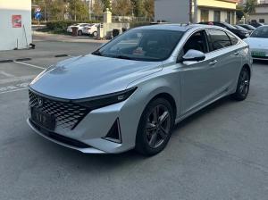 Changan Raeton Plus 2022 Petrol