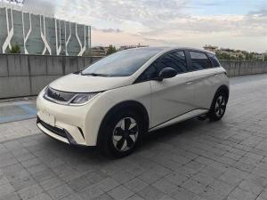BYD Dolphin 2024 Electric