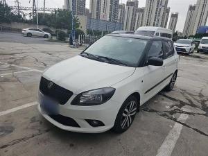 skoda fabia 2013 Petrol