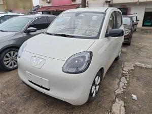 wuling hongguang mini ev 2025 Electric