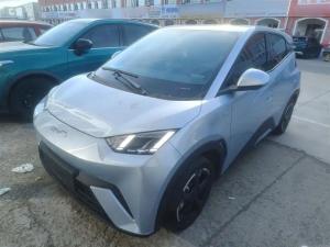 byd seagull 2024 Electric