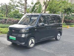 wuling sunshine 2025 Electric