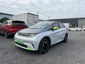 byd dolphin 2022 Electric