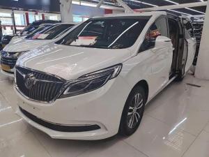 buick gl8 2019 Petrol