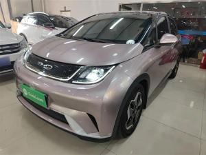 byd dolphin 2022 Electric